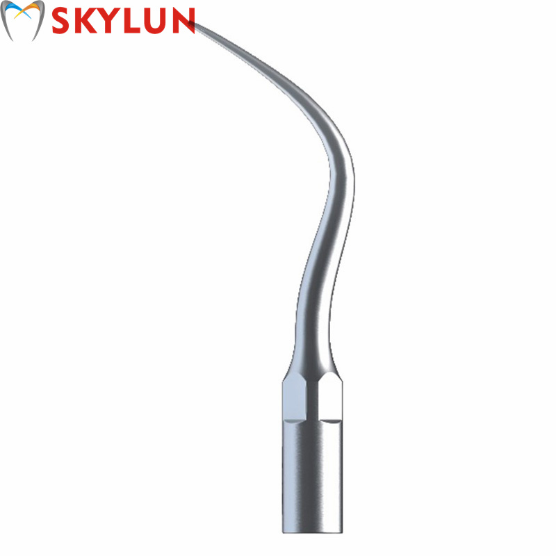 5PCS P4 Dental Ultrasonic Scal - Teeth Whitening Usa review and price